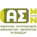 Logo ASMN